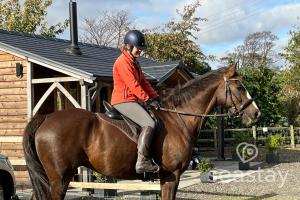 a person sitting on top of a horse at The Gatehouse Lodge Farm Stay, Distant Sea Views in Deal +19 photos