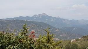 a mountain in the distance with trees in the foreground at Macchie e Fiori in Pianottoli-Caldarello