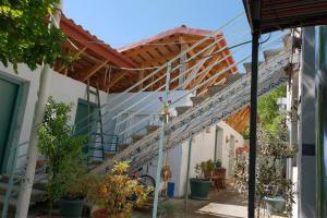 a stairway in a building with stairs and plants at Togonidze's Wine Cellar in Telavi