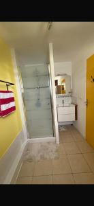 a bathroom with a shower and a sink at Caress antillaise in Deshaies +9 photos