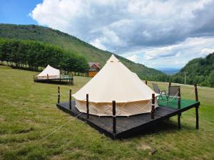 a white tent in a field in a field at Camping Inima Retezatului in Nucşoara