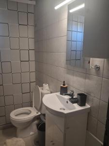 a bathroom with a toilet and a sink and a mirror at Calypso Rooms in Preveza +13 photos