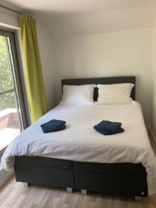 a bed with two blue towels on top of it at Magnolia in Wuustwezel