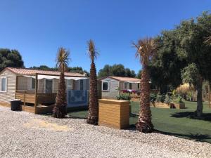a house with palm trees in a yard at Beach Break Bungalows Playa El Palmar in Cádiz