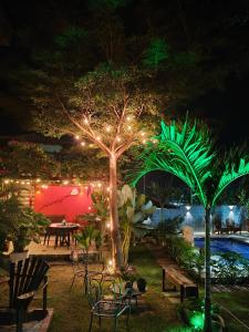 a garden with a tree with lights on it at Suíte Arvoredo in Saquarema