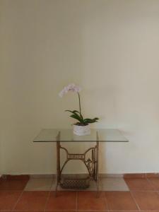 a table with a vase with a plant on it at Rancho La Cueva in Miches