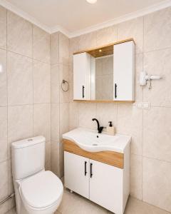 a bathroom with a toilet and a sink and a mirror at Pavlonya Garden in İntepe