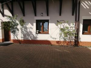 a white building with a window and two plants at Termalne Pokoje in Uniejow