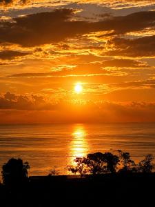 a sunset over the ocean with trees in the foreground at Pura Natura Lodge in Manuel Antonio
