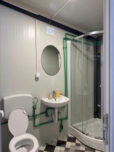 a bathroom with a shower and a toilet and a sink at The Nest in Mitrovići