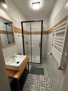 a bathroom with a sink and a shower at Domek Wśród Pisarzy in Strawczynek +20 photos