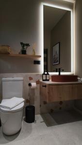 a bathroom with a toilet and a sink and a mirror at ArcChalet Transylvania in Borzont +60 photos