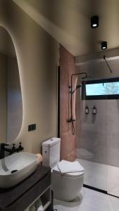 a bathroom with a toilet and a sink and a shower at ArcChalet Transylvania in Borzont