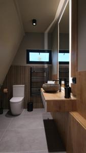 a bathroom with a toilet and a television on the wall at ArcChalet Transylvania in Borzont