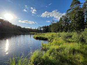 a pond in a field with the sun in the sky at Apartament Brzeg in Augustów +6 photos