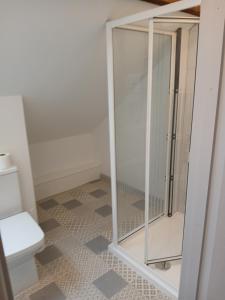 a bathroom with a shower and a toilet at Roshinehill apartment in Shanbally