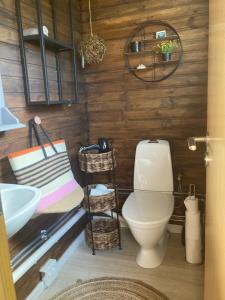 a bathroom with a toilet and a sink at River view contryside in Reykholt
