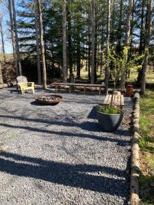 a patio with two benches and a potted plant at River view contryside in Reykholt +7 photos
