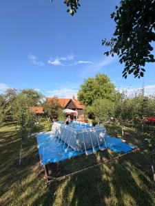 a table in the grass in a field at Ordinacija pod šljivom in Pirot