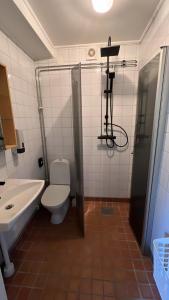 a bathroom with a toilet and a shower and a sink at Glaskogen Holiday Homes in Glava