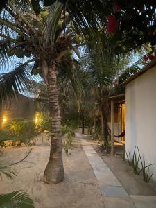 a palm tree in the middle of a sidewalk at Beach Chalet Preá in Prea