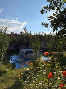 a garden with a swimming pool and flowers at Ordinacija pod šljivom in Pirot