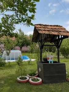 a gazebo in a yard with some plants at Ordinacija pod šljivom in Pirot +11 photos