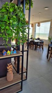 a plant sitting on a shelf in a room at Niníve Boutique Hotel in Cabedelo