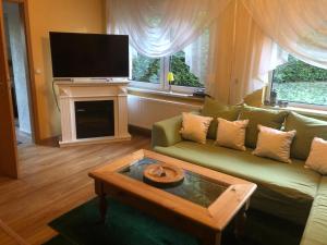 a living room with a green couch and a tv at Ferienhaeuser-Am-Eichenberg-Haus-1 in Blankenburg