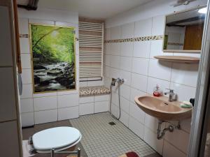 a bathroom with a sink and a toilet at Haus Semmelrodt in Witzenhausen