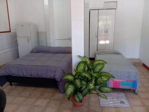 a bedroom with a bed and a potted plant at Casa jardin 2 in Jardín América