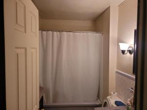 a bathroom with a shower curtain and a toilet at Sleiman's Guest House in Windsor