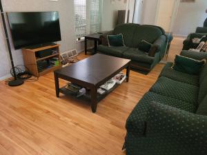a living room with green couches and a television at Sleiman's Guest House in Windsor