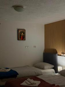 a bedroom with two beds and a picture on the wall at 7 Kućica in Livno