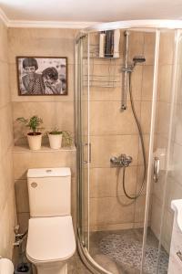 a bathroom with a shower with a toilet and a sink at Studio74 in Patra +11 photos