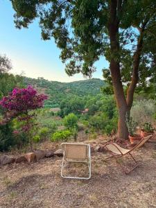 a chair and a tree sitting next to a tree at La Manna di Zabbra in Pollina