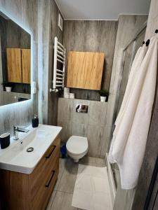 a bathroom with a white sink and a toilet at Sea Power Studio Loft in Jastrzębia Góra +8 photos