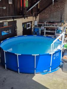 a large blue swimming pool in a garage at Chambres et Table d'hôtes chez Loulou & Caramel in Magstatt-le-Bas