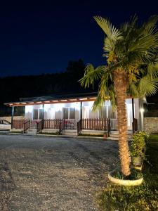 a palm tree in front of a building at night at Bujtina4A Rrenc in Renc