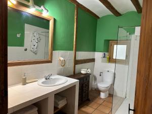 a green bathroom with a sink and a toilet at Casa Rural Iturrieta in Adiós +6 photos
