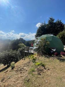 a green tent sitting on top of a field at Vitta Glamping in Rionegro