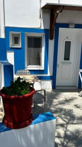 a blue and white building with a plant in a red pot at Syrtaki Studios in Kámpos