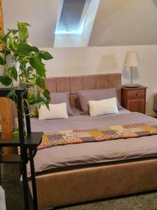a bed with two pillows and a plant in a room at Apartmány Saxana in Smržovka