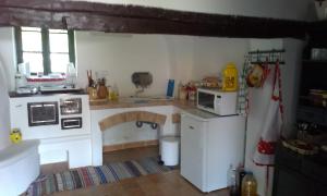 eine Küche mit einem Kühlschrank und einer Mikrowelle in der Unterkunft Country house Balaton in Paloznak