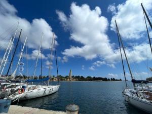 a group of boats docked in the water at Davis Kaizen in Brindisi