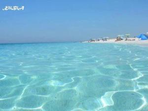 a large body of water with a beach in the background at Dar Meriem in Korba