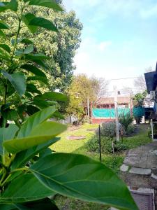 a garden with green plants and a fence at La Ricarda in Gualeguaychú