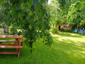 a park bench sitting under a tree in a yard at La cabaña de ines in El Bolsón