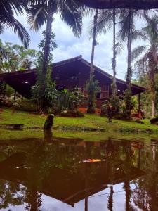 a house with palm trees in front of a pond at Casa do Zeca Morretes in Morretes