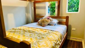 a dog laying on a bed in a bedroom at Hermosa casa con aire acondicionado rodeada de aves y naturaleza incluye desayuno in Puyo
